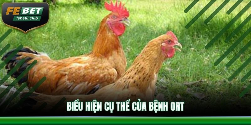 Biểu hiện cụ thể của bệnh ORT 
