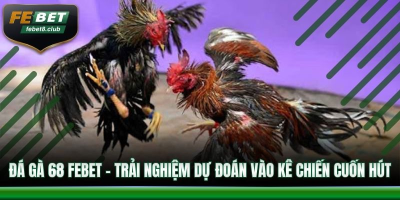 Đá gà 68