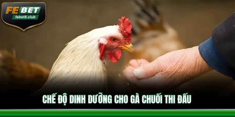 Chế độ dinh dưỡng hợp lý