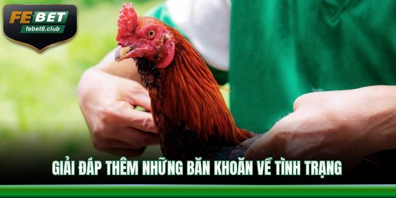 Giải đáp thêm những băn khoăn về tình trạng