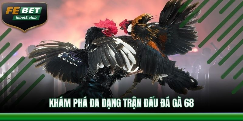 Khám phá đa dạng trận đấu đá gà 68