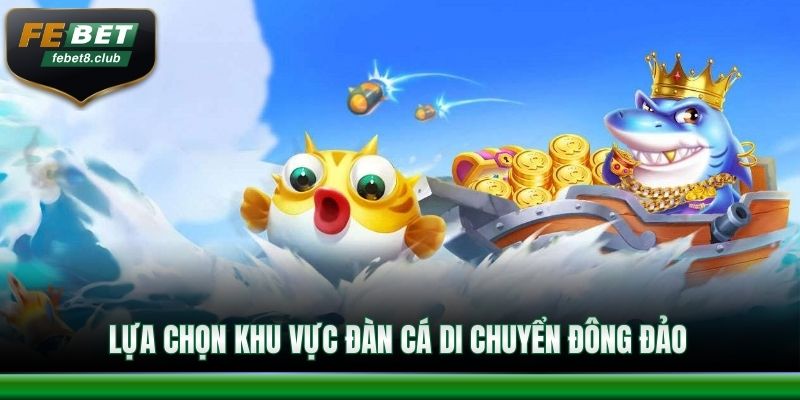 Lựa chọn khu vực đàn cá di chuyển đông đảo