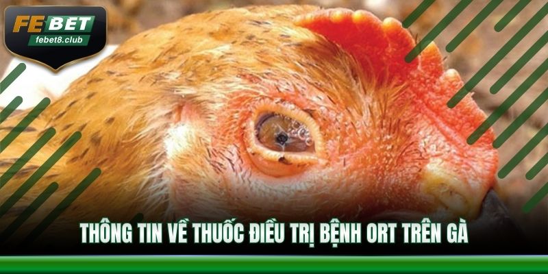 Thông tin về thuốc điều trị bệnh ORT trên gà