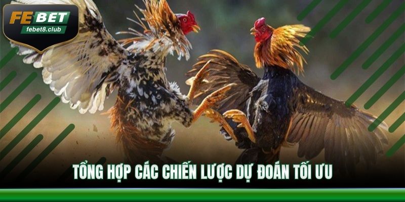 Tổng hợp các chiến lược dự đoán tối ưu